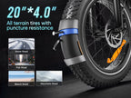 SAMEBIKE LOTDM200-II 750W Moteur Pneus larges Vélo électrique pliant 20"