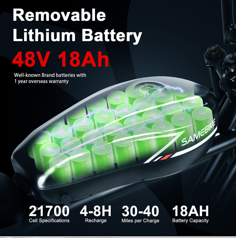 SAMEBIKE M20 1000W Vélo électrique à Pneus Larges