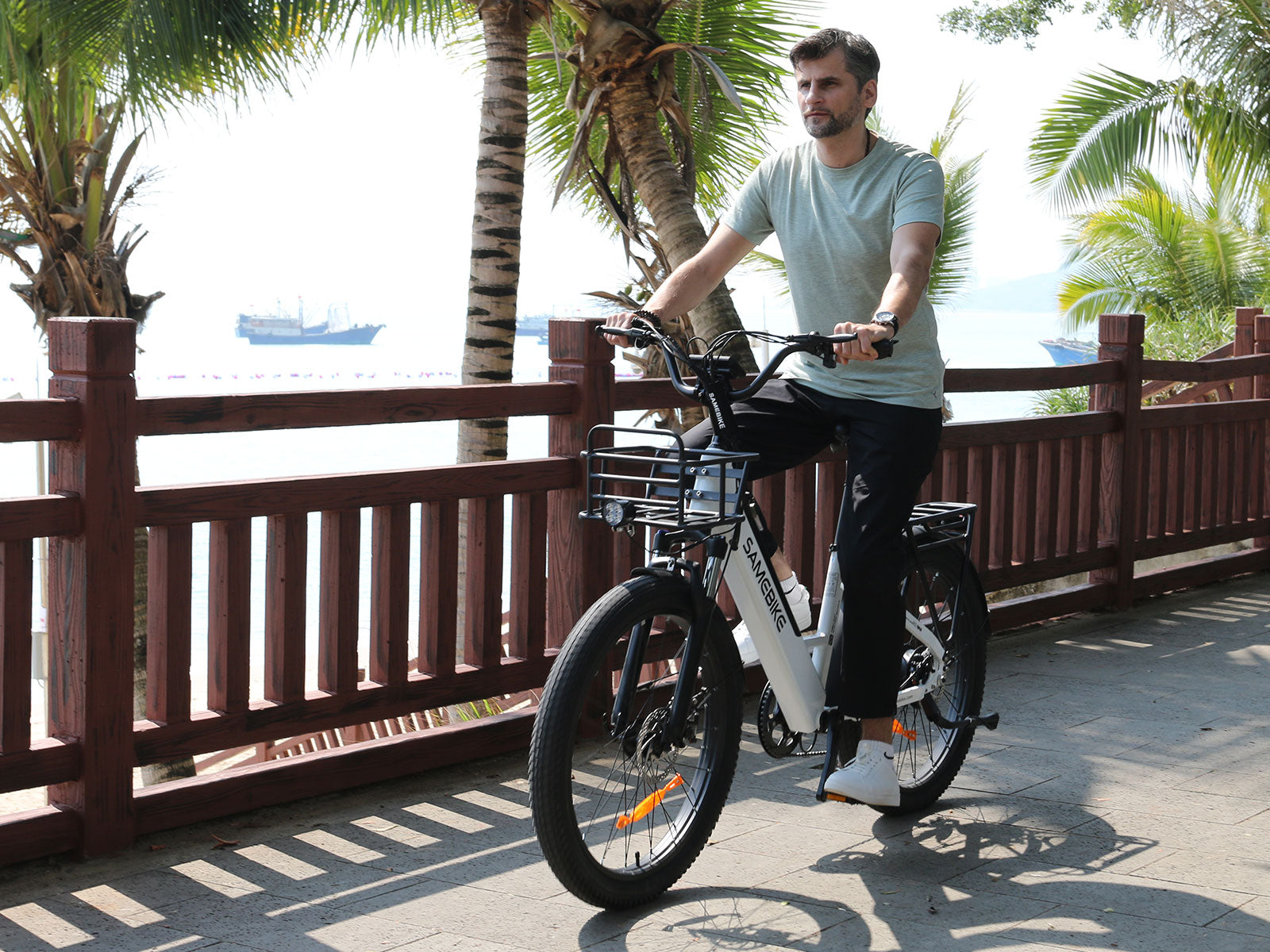 SAMEBIKE RS-A01 Plus 750W  Moteur Vélo électrique Urbain