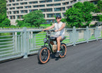 SAMEBIKE M20 1000W Vélo électrique à Pneus Larges