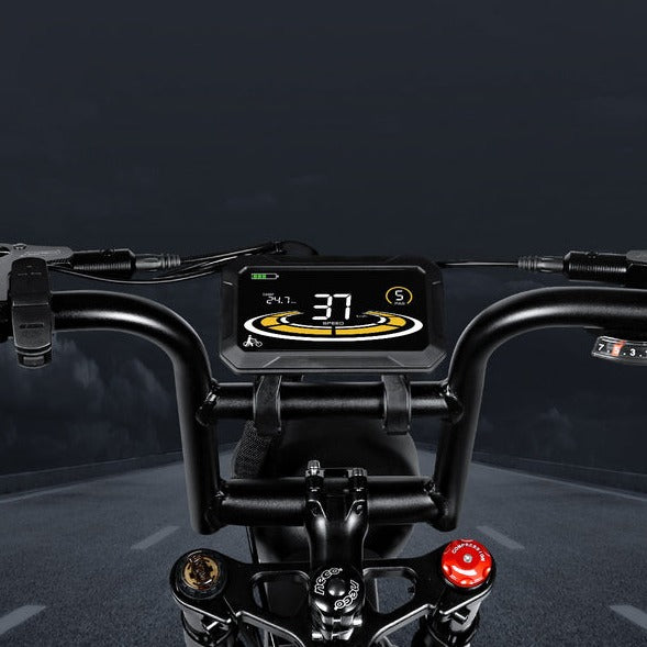 SAMEBIKE M20-III 2000W Vélo électrique à Pneus Larges