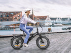 SAMEBIKE LOTDM200-II 750W Moteur Pneus larges Vélo électrique pliant 20"