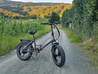 SAMEBIKE LOTDM200-II 750W Moteur Pneus larges Vélo électrique pliant 20"