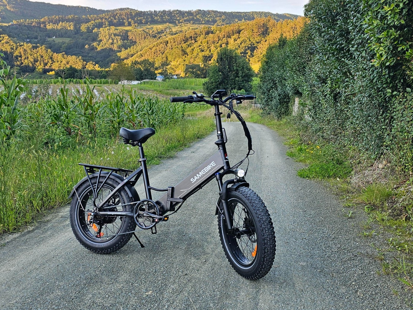 SAMEBIKE LOTDM200-II 750W Moteur Pneus larges Vélo électrique pliant 20"